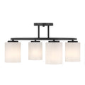 Herron 4 Light Ceiling Light