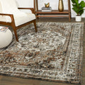 Hess Vintage Oriental Area Rug