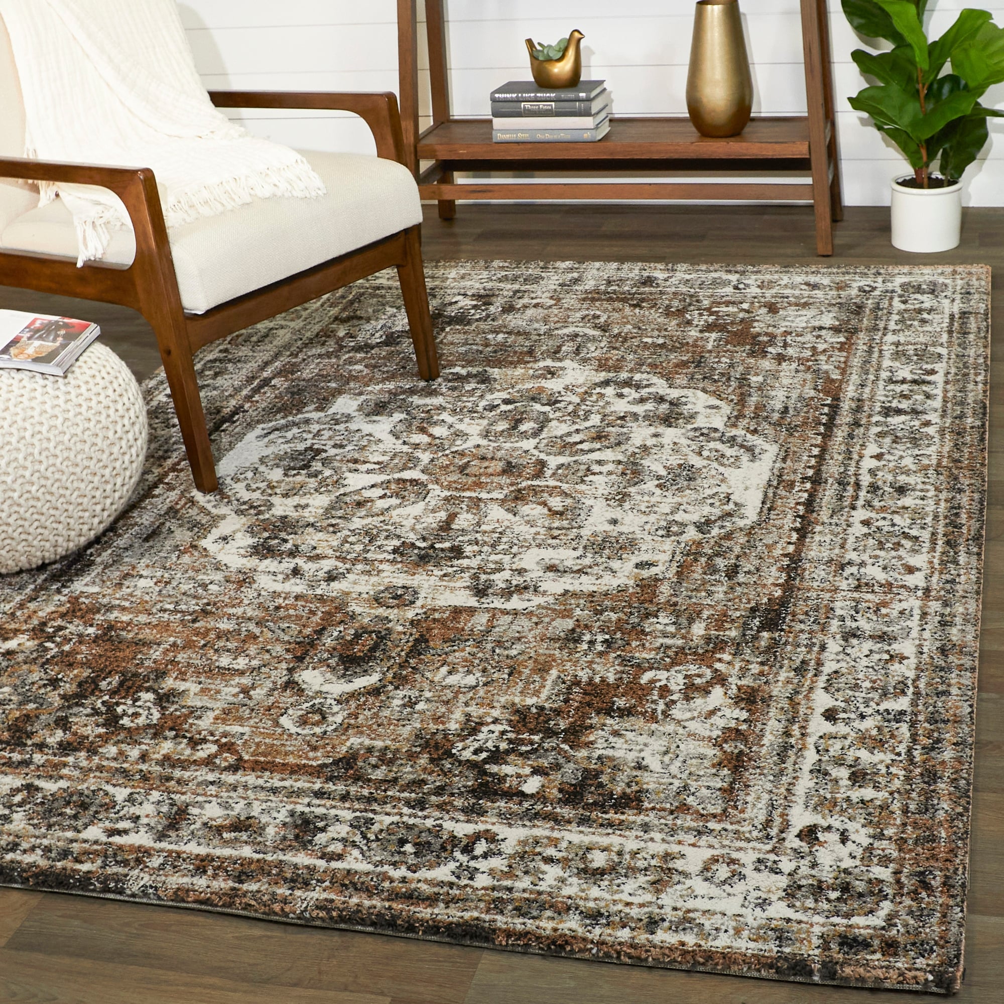 Hess Vintage Oriental Area Rug
