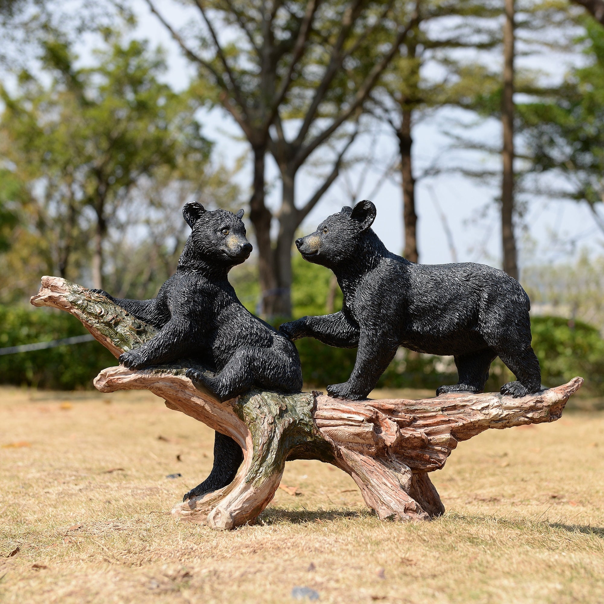 Hi Line Black Bears On Log