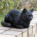 Hi Line Resting Black Tabby Cat