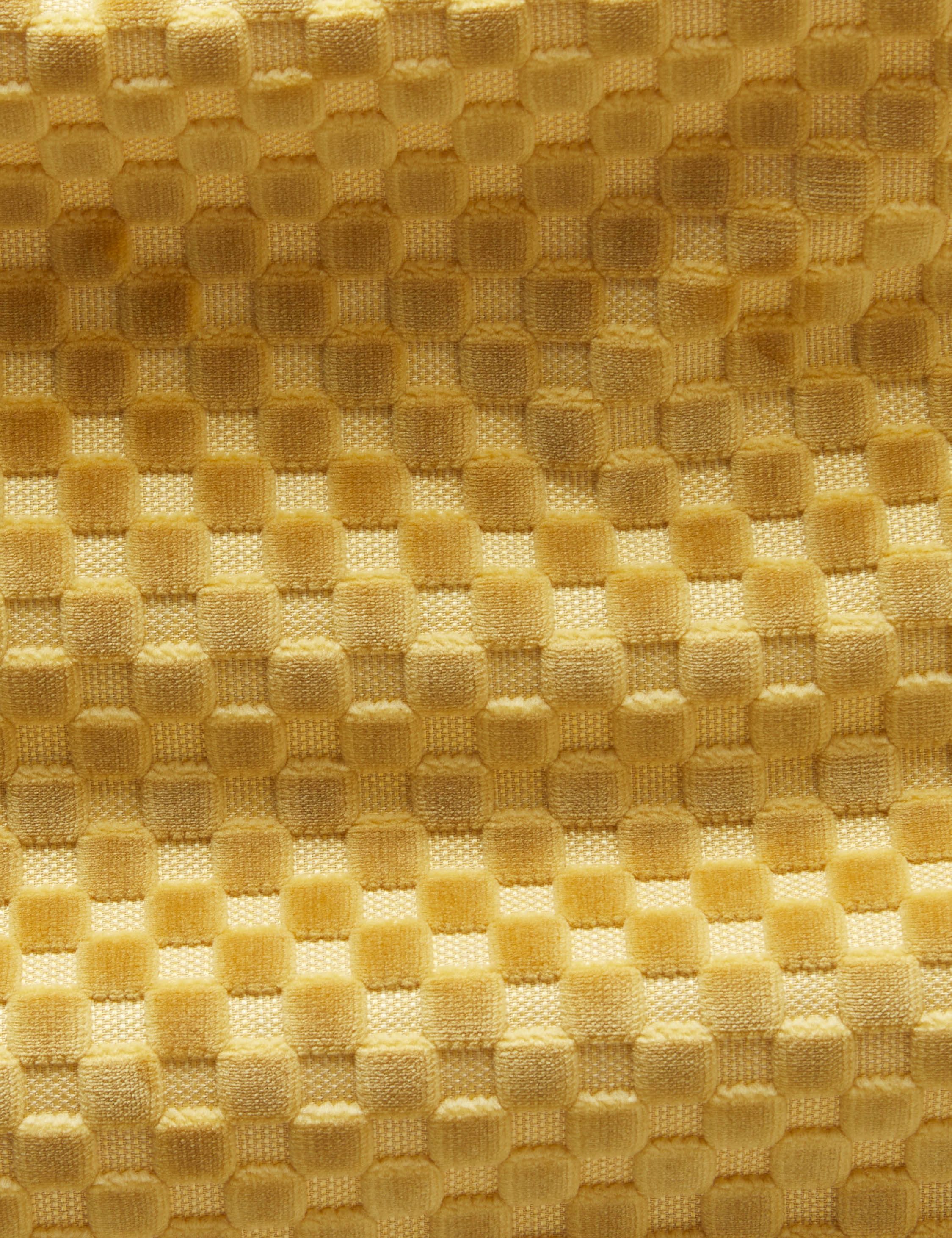 Hi-Lo Checker Fabric Swatch, Goldenrod by Sarah Sherman Samuel