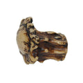 Hiend Accents Antler Knobs Set Of 4
