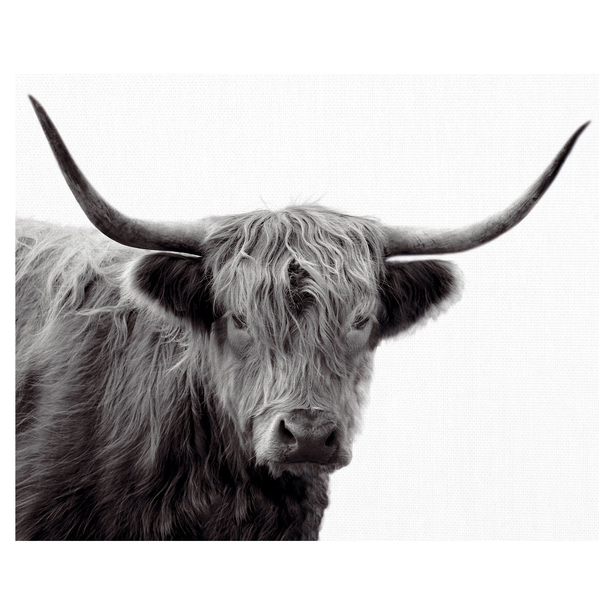 Highland Haze By Bill Philip Canvas Art Print White
