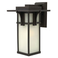 Hinkley Lighting 1 Light 18.5 Tall Outdoor Wall Sconce With Etched