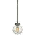 Hinkley Lighting 1 Light Indoor Mini Pendant With Clear Globe Shade