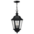 Hinkley Lighting 3 Light Outdoor Small Pendant From The Edgewater