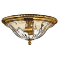 Hinkley Lighting H3616 2 Light Indoor Flush Mount Ceiling Fixture From