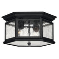 Hinkley Lighting 2 Light Outdoor Flush Mount Ceiling Fixture From The