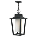 Hinkley Lighting Sullivan Single Light 11 3 4 Wide Outdoor Pendant