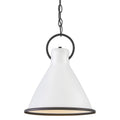 Hinkley Lighting 3557 Winnie Single Light 12 Wide Pendant