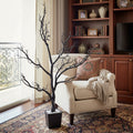 Homeroots 48 Black Artificial Manzanita Tree In Black Planter Pot 12.00 In. X 48.00 In. X 26.00 In.