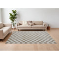 Homeroots Checkered Modern Rectangle Area Rug 7 X 10