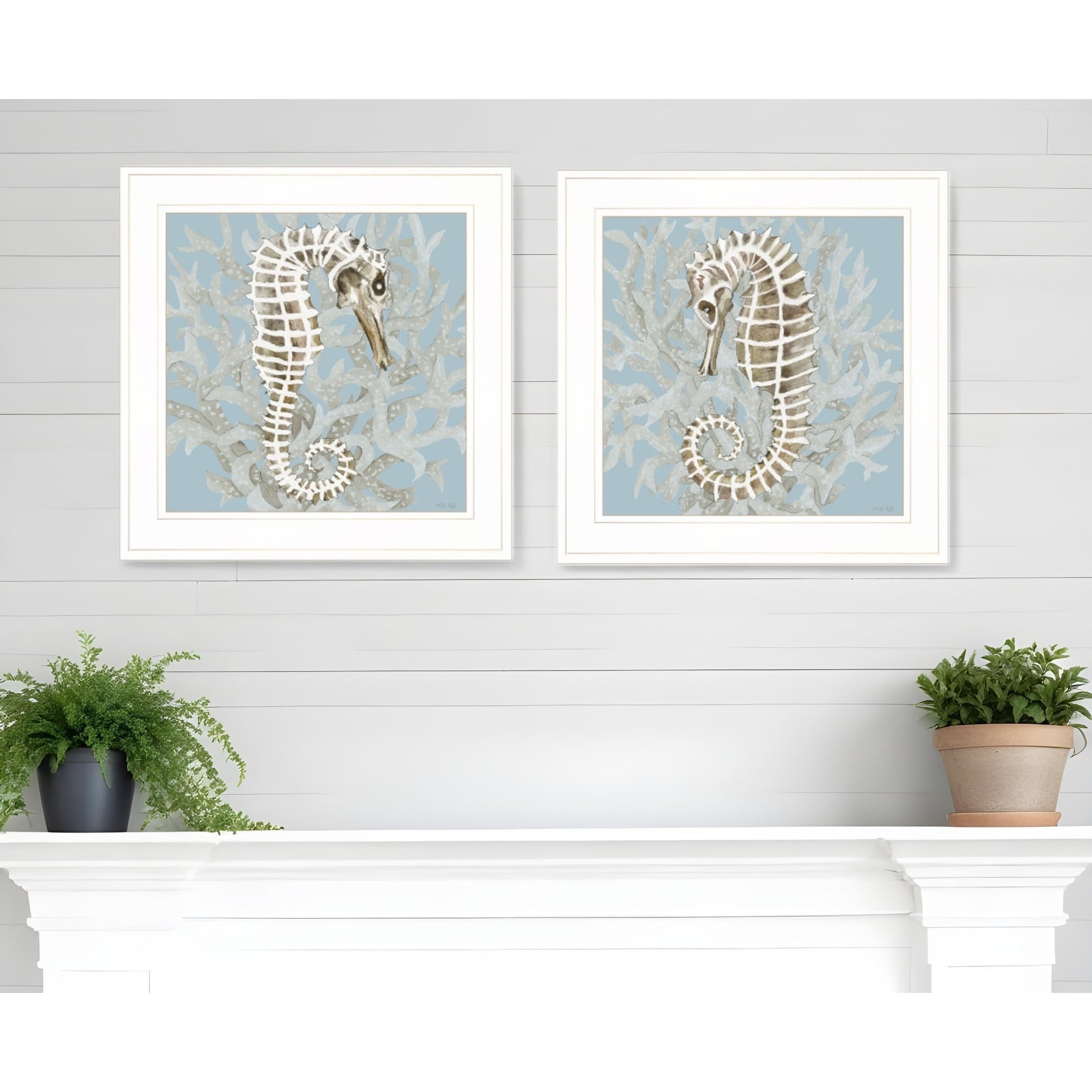 Homeroots Set Of Two Coral Seahorse White Framed Print Wall Art