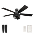 Honeywell Carnegie 52 Matte Black Indoor Ceiling Fan With Light Dual Mount Remote Control
