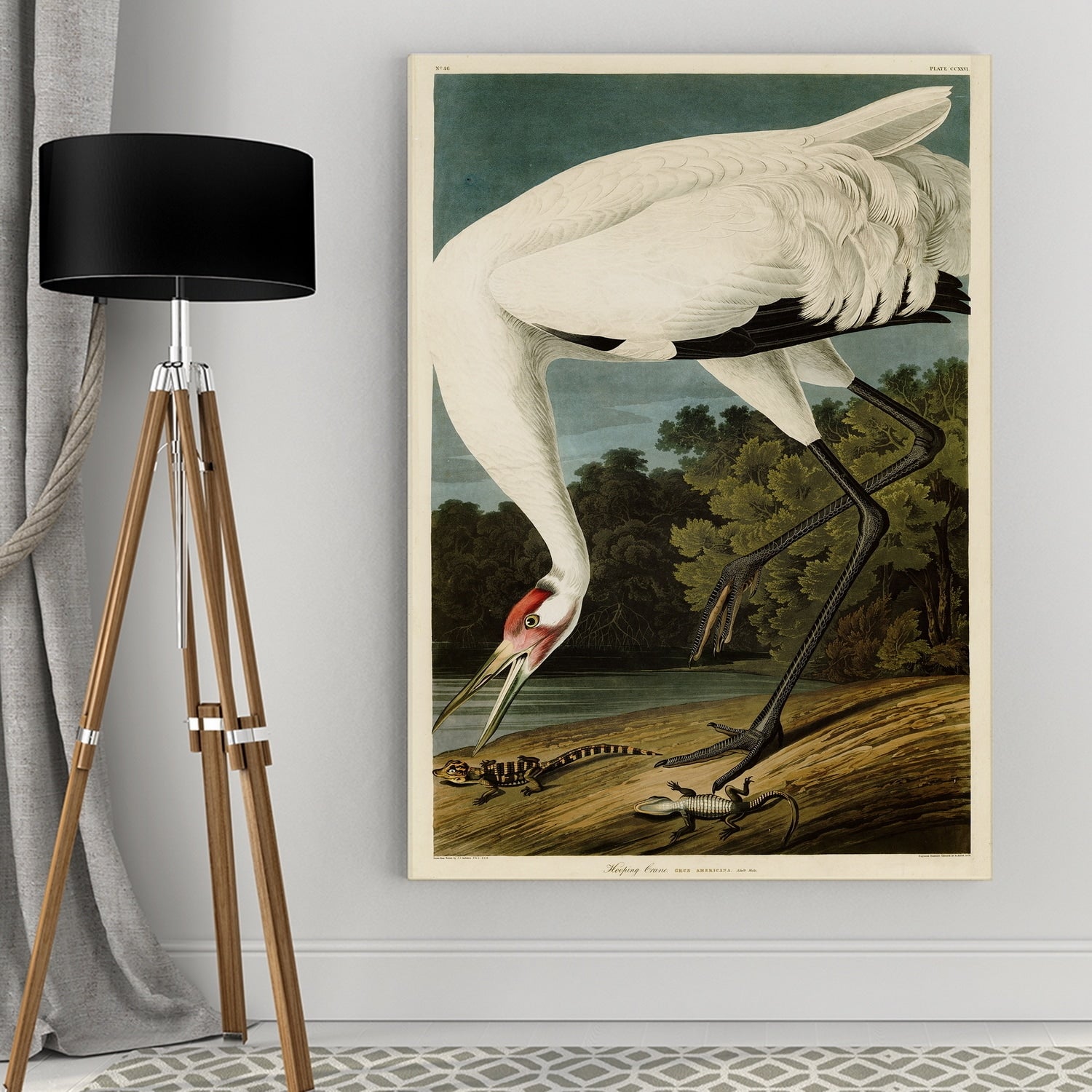 Wexford Home Audubon Hooping Crane Giclee Canvas Wall Art