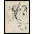 Horse In Bridle Sketch I By Jennifer Paxton Parker Framed Mounted Canvas Wall Art Print