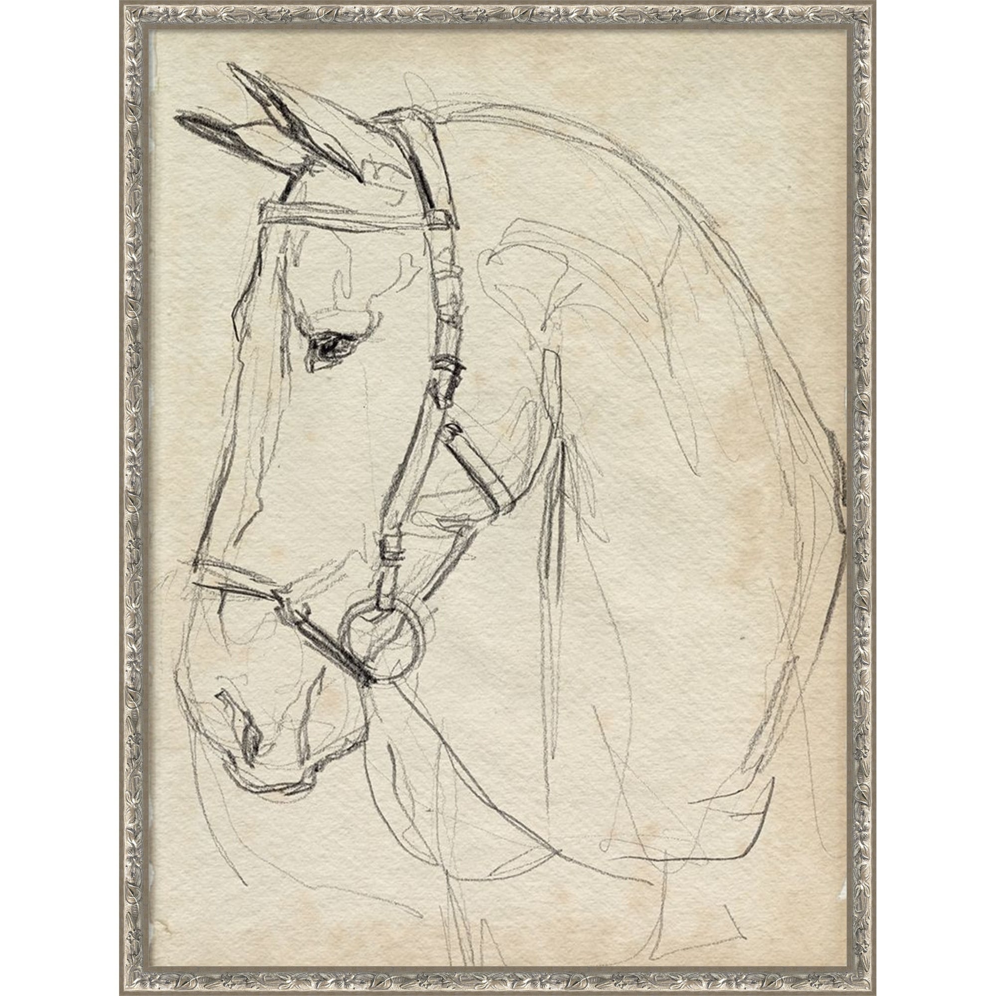 Horse In Bridle Sketch Ii By Jennifer Paxton Parker Framed Mounted Canvas Wall Art Print