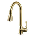 Houzer Campd 368 Camden Pull Down Kitchen Faucet With Ceradox Lifetime Technology