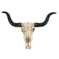Huge Long Horn Cow Skull Wall Hanging Longhorn Steer 18.5 X 27.5 X 7 Inches