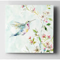 Hummingbird Iii Premium Gallery Wrapped Canvas