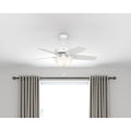 Hunter Fan Brushed Nickel Brazilian Cherry Harvest Mahogany Reversible Blades 42 Inch Ceiling Fan Silver