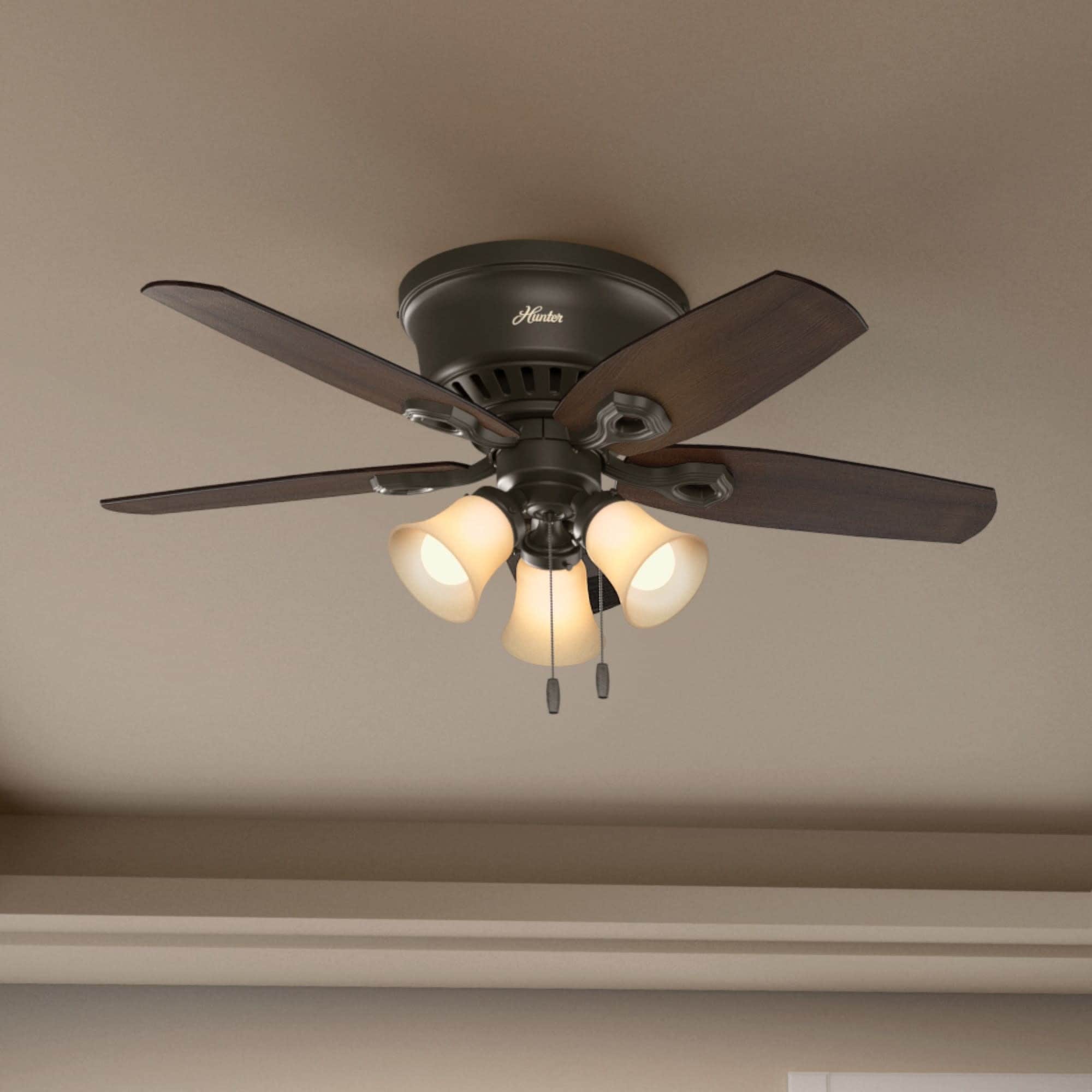 Hunter 42 Inch Bronze Fan With 5 Reversible Blades