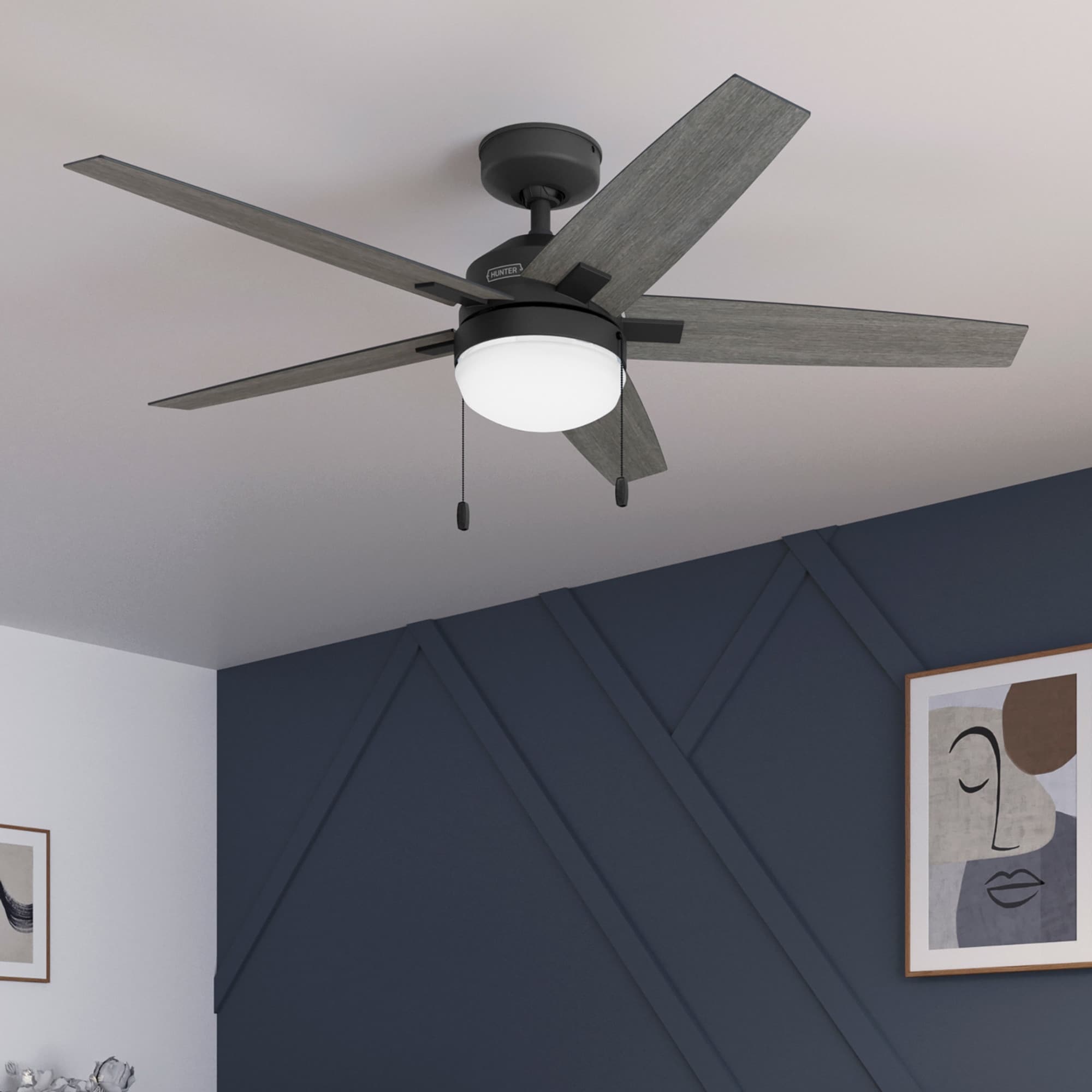 Hunter 44 Matte Black Ceiling Fan With Led Light Kit And Pull Chain