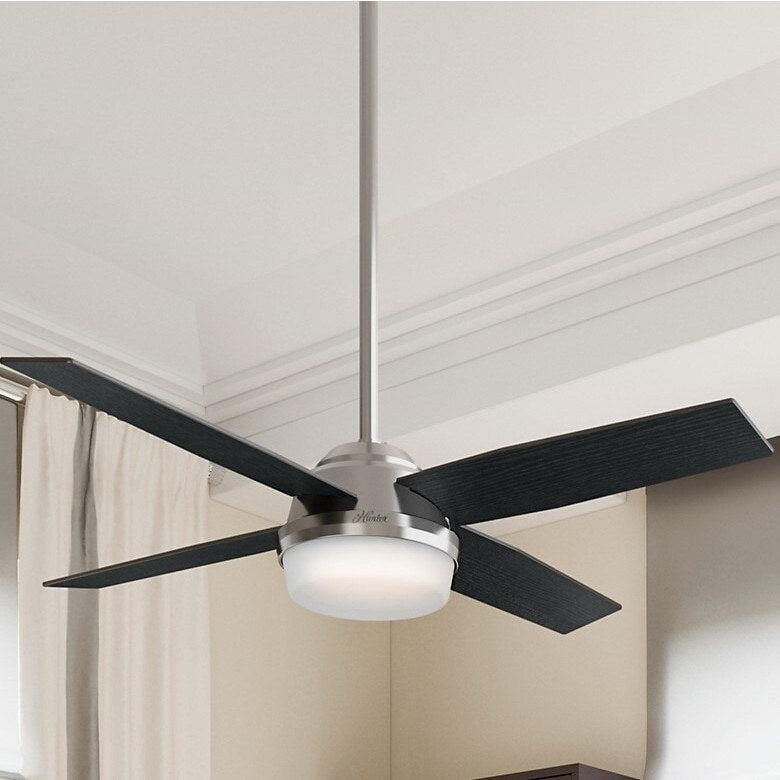 Hunter Fan Dempsey Collection 52 Inch Brushed Nickel With 4 Black Oak Or Chocolate Oak Reversible Blades Silver