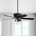 Hunter Fan 54 Inch Promenade Gloss Black With 5 Black Oak Blades Ceiling Fan