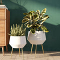 Huxley Mid Century Modern Planters White Set Of 2