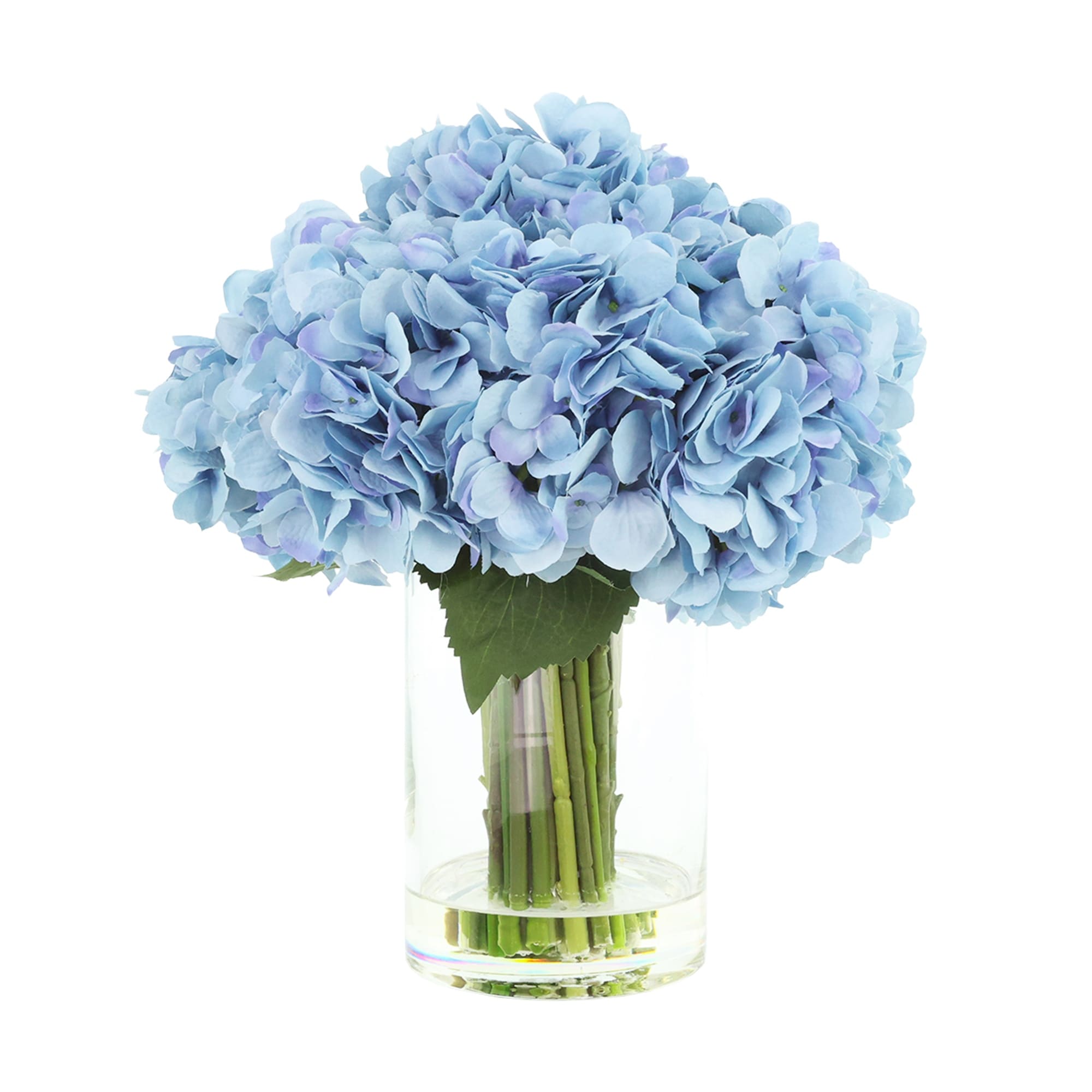 Hydrangeas In Glass Vase