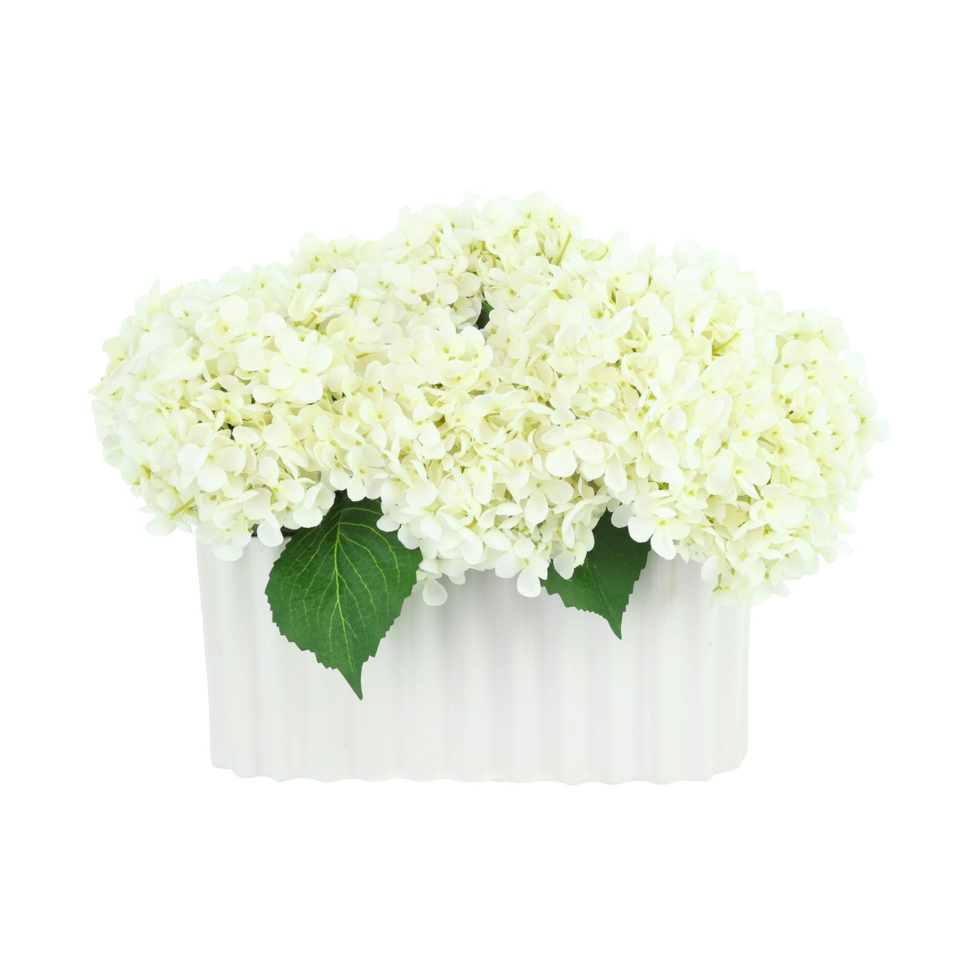 Hydrangeas In Pleated Ceramic Vase