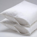 Hypoallergenic Zipper Pillow Encasement Protector With Back Fabric Lamination Set Of 2