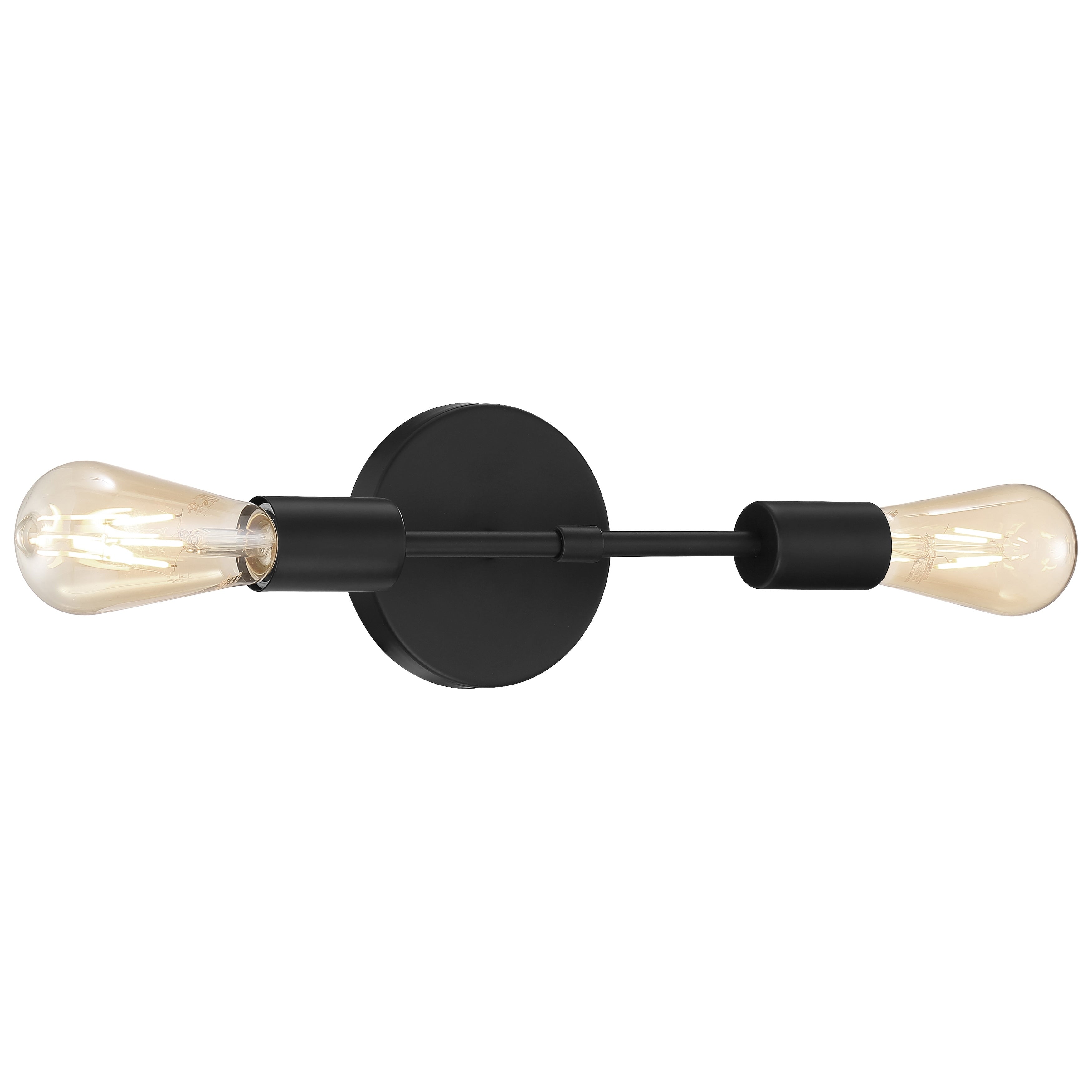 Iconic 2 Light Led Wall Sconce