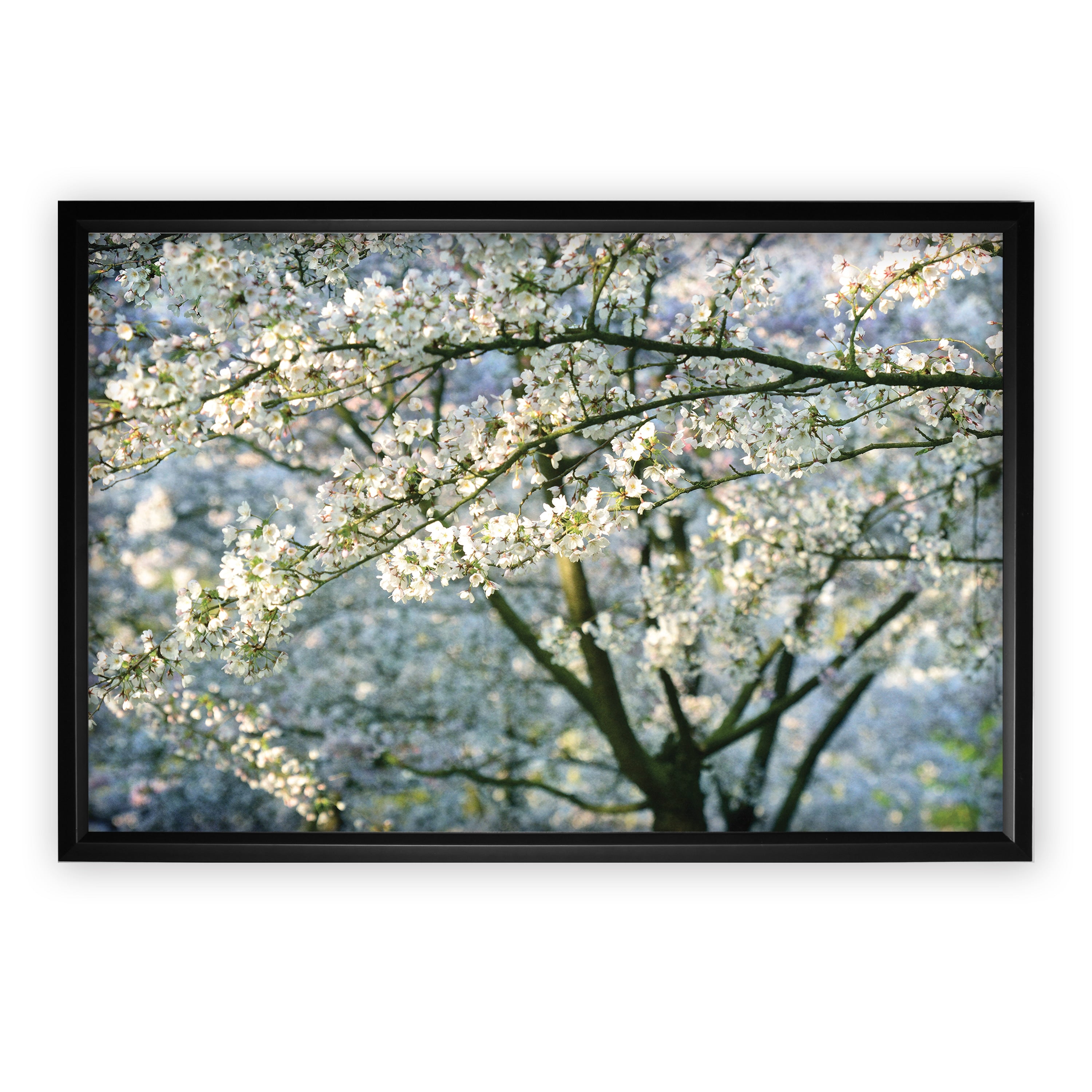 In All Your Glory Black Frame