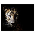 Leopard In The Shadows By Belle Maison Wrapped Canvas Art Print