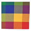 Indian Summer Checkered Napkin Set Of 4