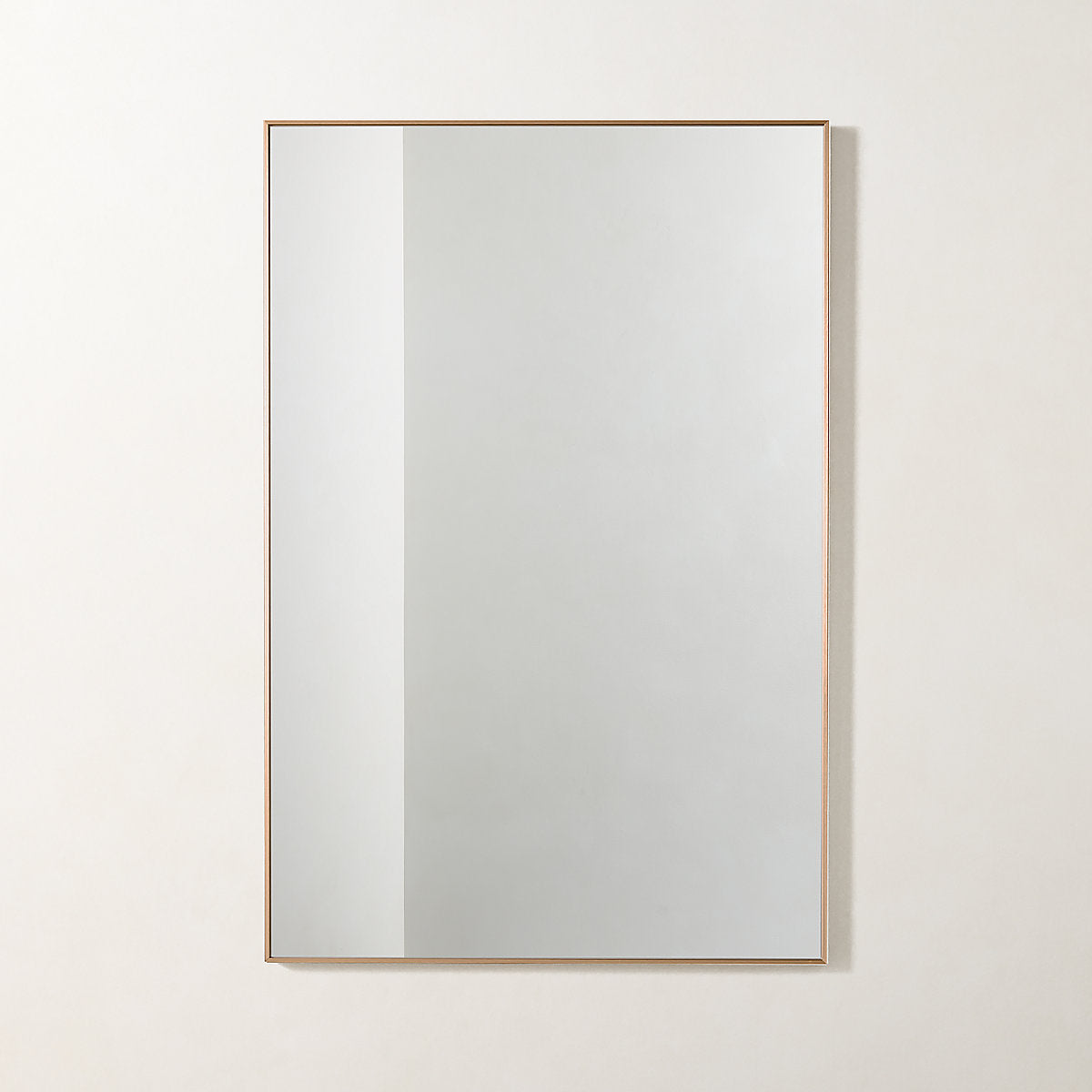 Infinity Brass Oblong Wall Mirror 23inx37in