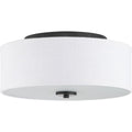Inspire Collection Two Light Flush Mount