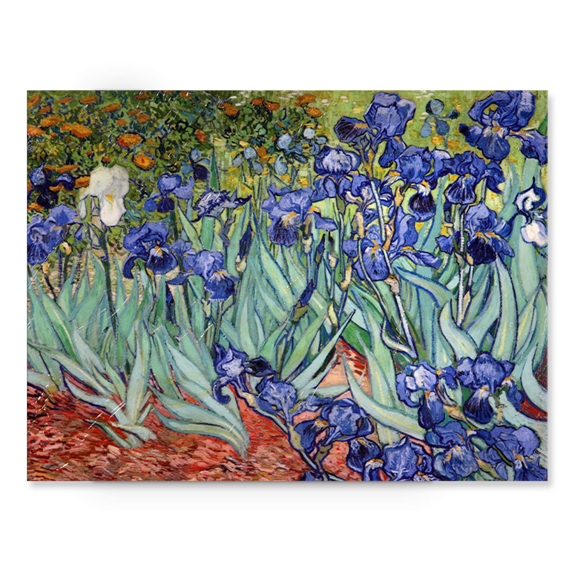 Vincent Van Gogh Iries Canvas Wall Art
