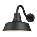 James Allan Flora Single Light 14 Tall Outdoor Wall Sconce