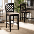 Jason Modern And Contemporary 2 Piece Bar Stool Set