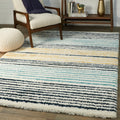 Jayden Berber Shag Area Rug