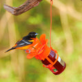 Jelly Jam Jar Oriole Bird Feeder