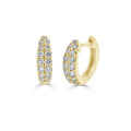 Joelle 14K Yellow Gold 3 8 Cttw Diamond Double Row Huggie Earring