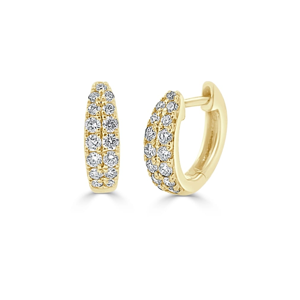 Joelle 14K Yellow Gold 3 8 Cttw Diamond Double Row Huggie Earring
