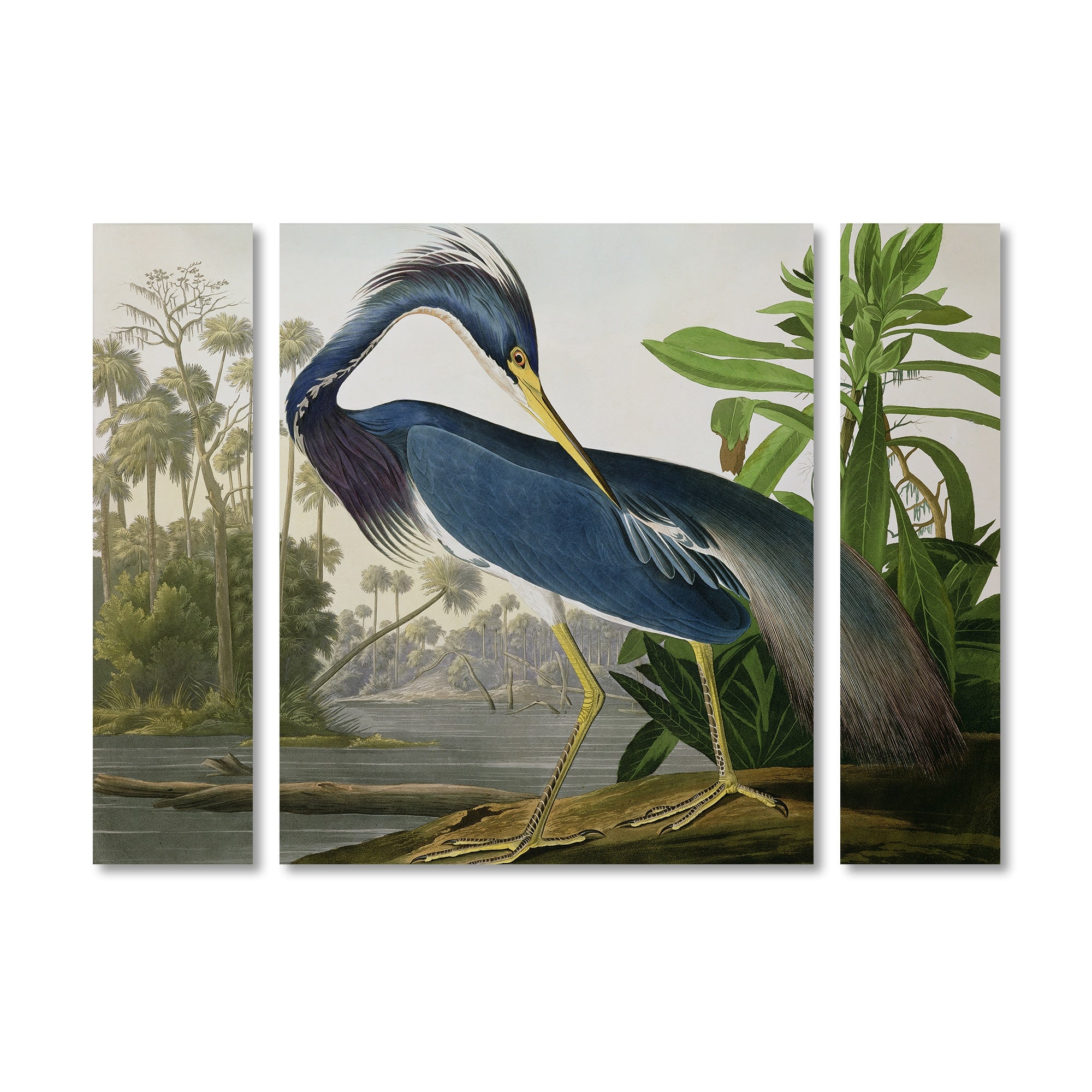 John James Audubon Louisiana Heron Multi Panel Art Set