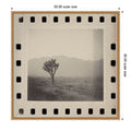 Joshua Tree Memories Ii By Twentybynine Framed Canvas Wall Art Print