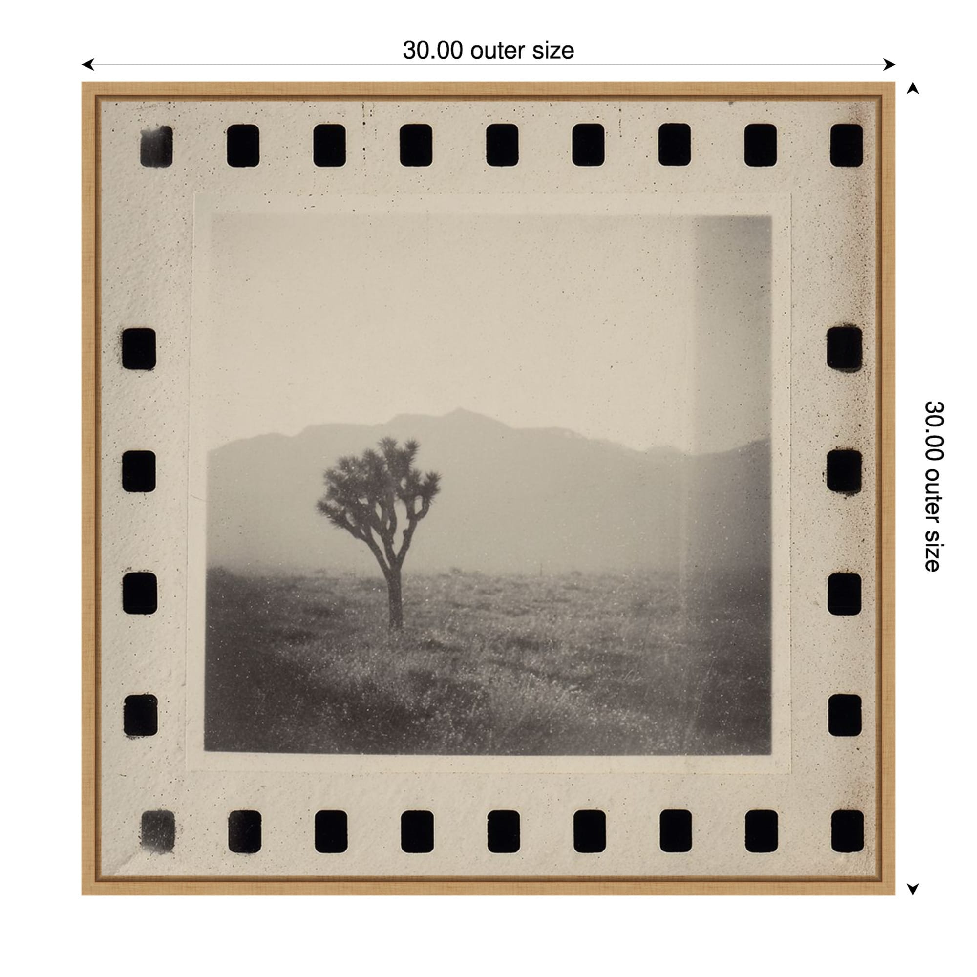 Joshua Tree Memories Ii By Twentybynine Framed Canvas Wall Art Print